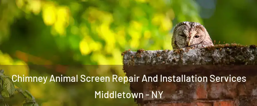  Chimney Animal Screen Repair And Installation Services Middletown - NY