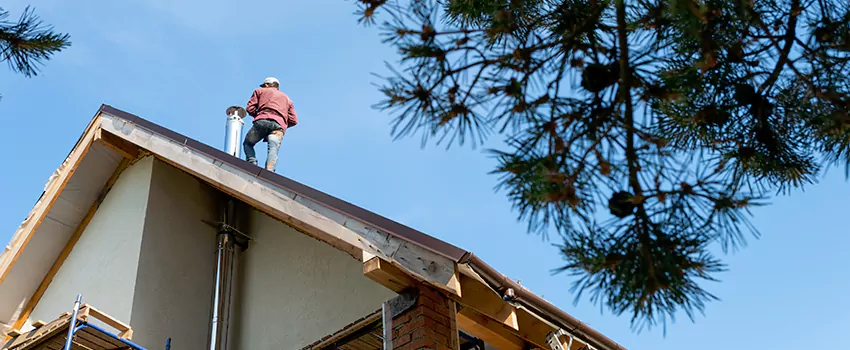 Birds Removal Contractors from Chimney in Middletown, NY