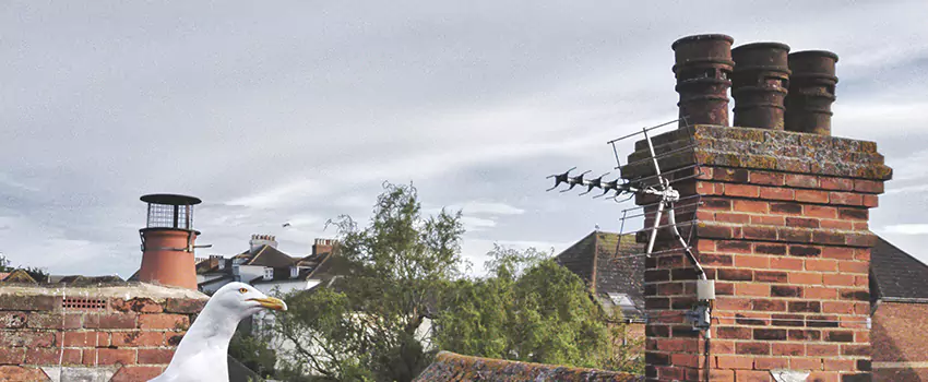Chimney Cleaning And Restoration in Middletown, New York