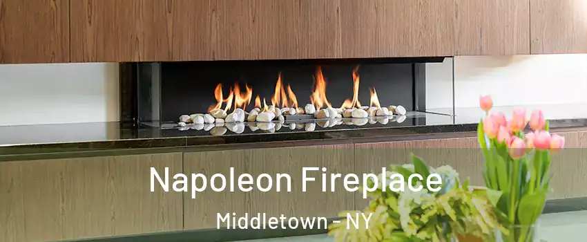  Napoleon Fireplace Middletown - NY